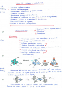 Orgánica I Teoría pag 67