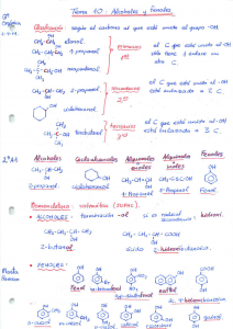 Orgánica II Teoría pag 11